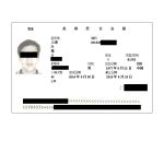 visa